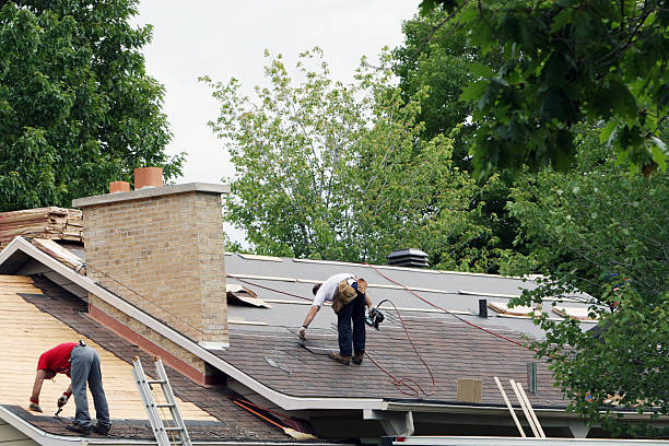 Roof Maintenance in Seymour, TN